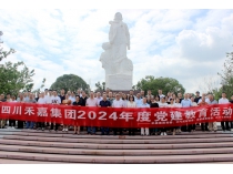 传承红色基因，拥抱智能未来 | 中共williamhill中国官方网站党委举行庆祝“七一”党建活动